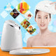 Face Mask Maker Machine Facial Treatment DIY Automatic Fruit Natural Vegetable Collagen Home Use Beauty Skin SPA Care - Evallys.com