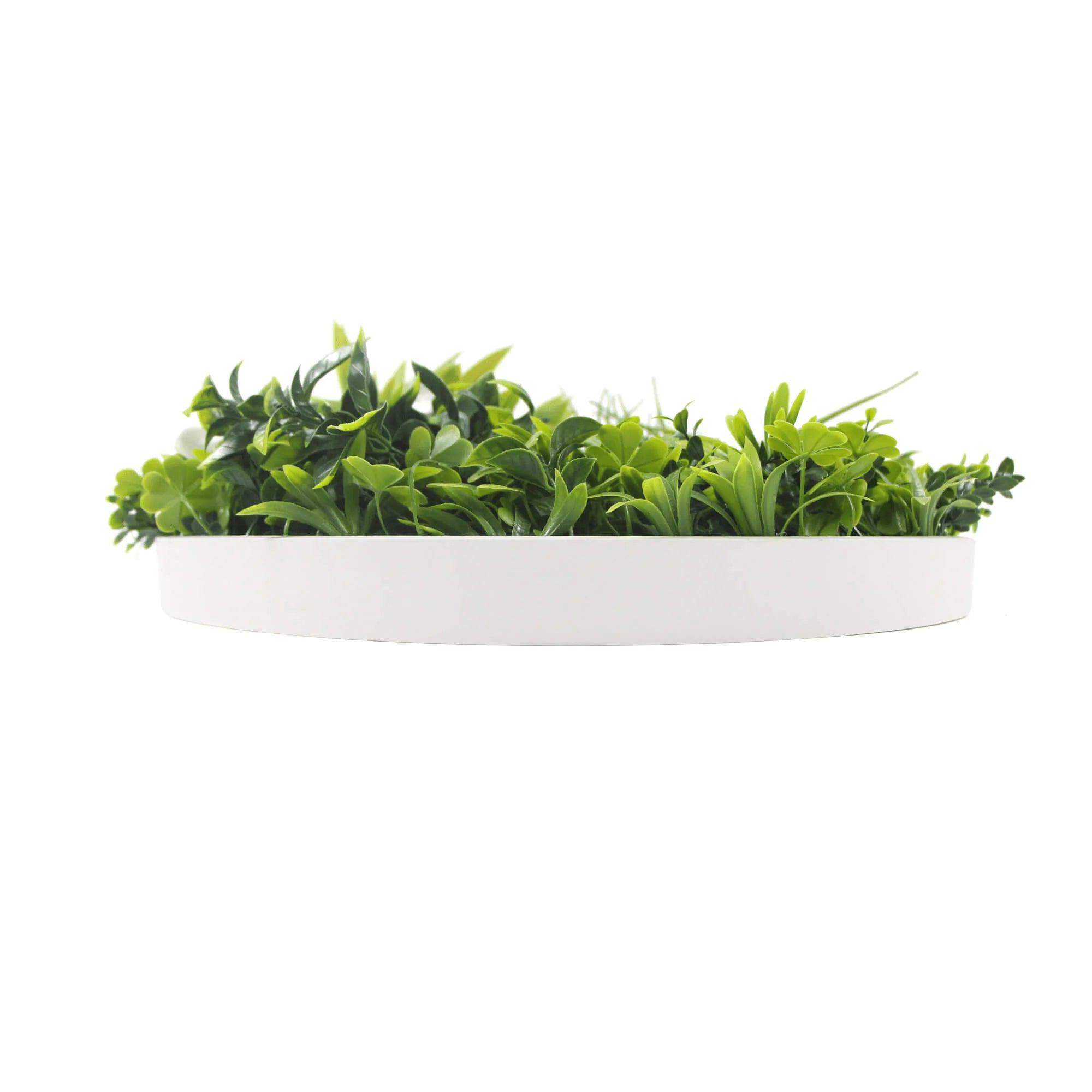 Artificial Green Wall Disc 20" White Frame UV Resistant - Evallys.com # #