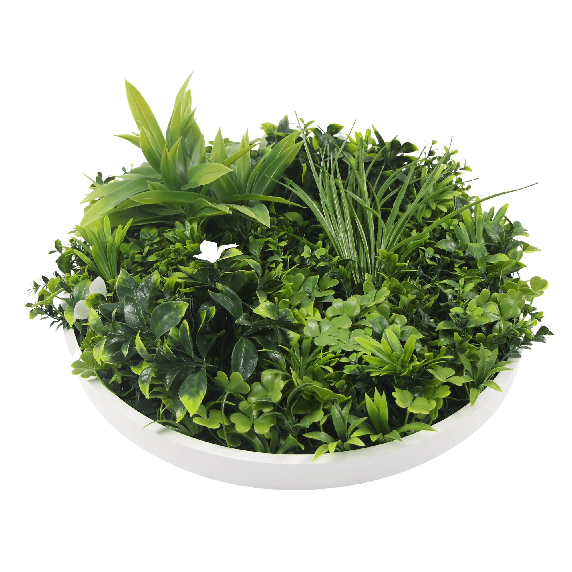 Artificial Green Wall Disc 30" White Frame UV Resistant - Evallys.com # #