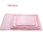 Pet Dog Cat Ice Silk Cold Nest Pad For Cooling In Summer - Evallys.com