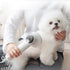 Smart Pet Hair Dryer Dog Golden Retriever Cat Grooming Hairdressing Blow & Comb Silent No Harm Pet Cleaning Supplies Pet Products - Evallys.com