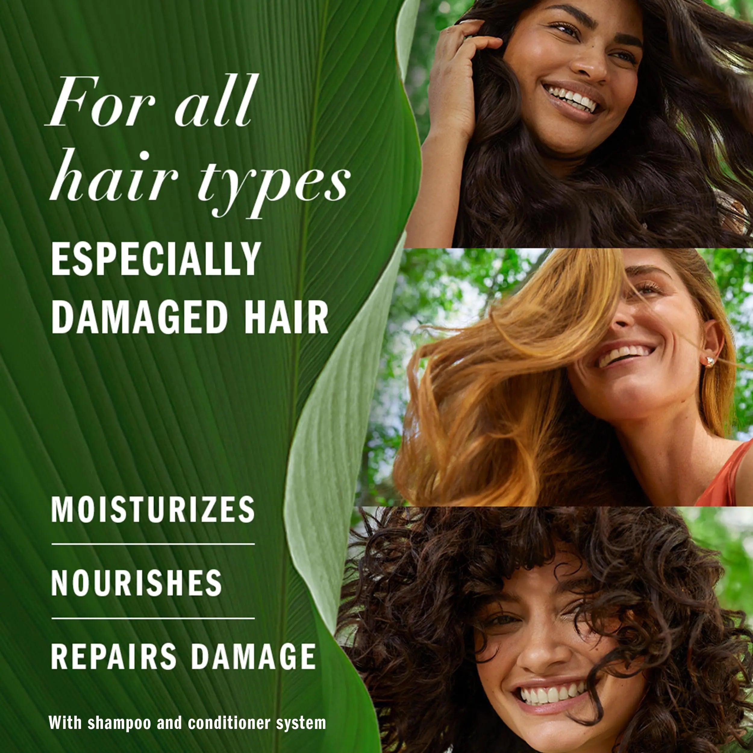 Herbal Essences Argan Oil of Morocco Shampoo & Conditioner Set, Repair & Smooth, Kew Endorsed, Fizzy Citrus Scent, Paraben-Free, Safe for Color-Treated Hair, pH-Balanced, 20.2 Fl Oz Each, 2 Pack - Evallys.com # #