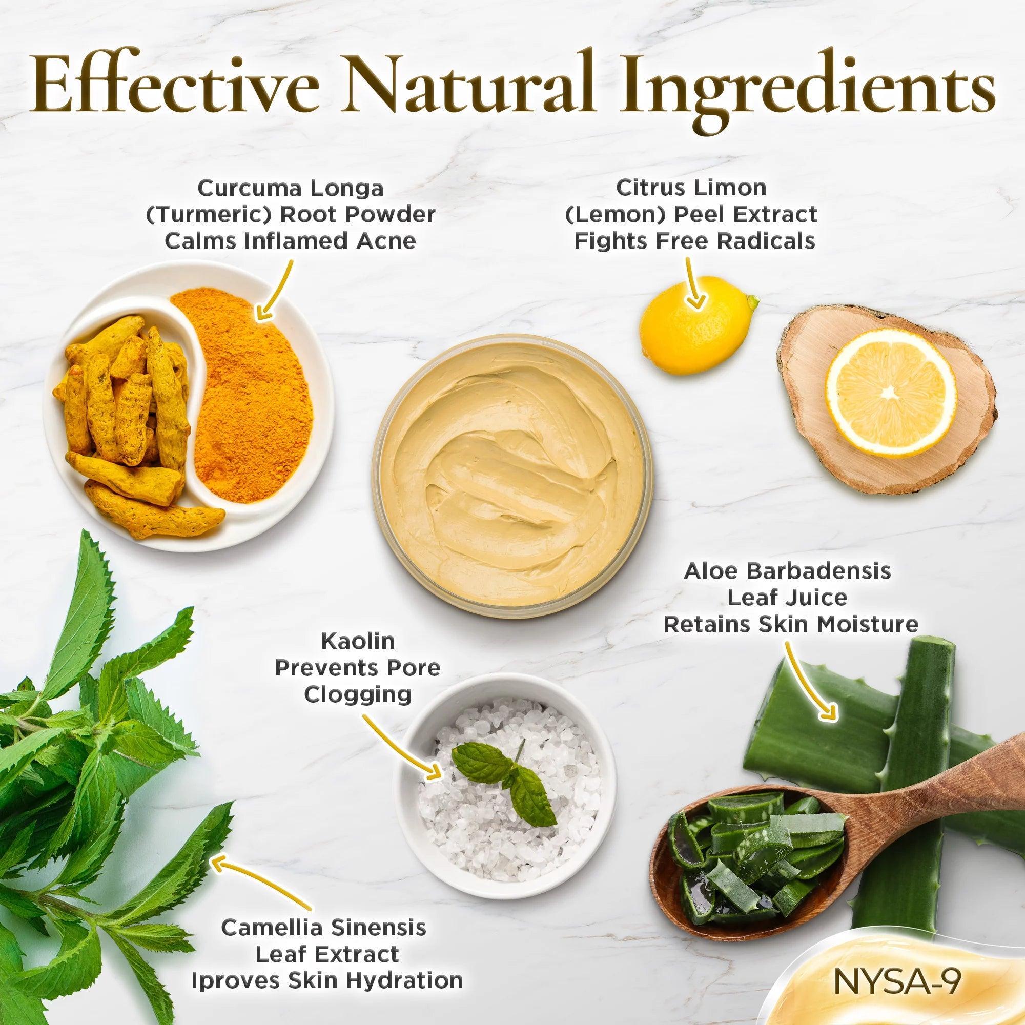 Turmeric Clay Face Mask W/ Bentonite for Skin Care Facial Beauty Reduce Acne and Scars Mask, Boosts Circulation, Skin Brightening Mask Deep Clean Pore by Nysa-9 - Evallys.com # #