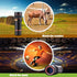 HD 8X Clip On Optical Zoom Telescope Camera Lens For Universal Mobile Cell Phone - Evallys.com