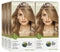 Naturtint Permanent Hair Color 8G Sandy Golden Blonde (Pack of 6), Ammonia Free, Vegan, Cruelty Free, up to 100% Gray Coverage, Long Lasting Results - Evallys.com # #