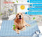 Pet Dog Cat Ice Silk Cold Nest Pad For Cooling In Summer - Evallys.com