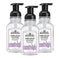 J.R. Watkins Foaming Hand Soap with Pump Dispenser, Moisturizing Foam Hand Wash, All Natural, Alcohol-Free, Cruelty-Free, USA Made, Lavender, 9 fl oz, 3 Pack - Evallys.com # #