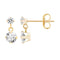 A&M 14k Gold Cubic Zirconia Dangle Earrings - Evallys.com # #