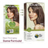 Naturtint Permanent Hair Color 6GM Chocolate Brown (Pack of 6), Ammonia Free, Vegan, Cruelty Free, up to 100% Gray Coverage, Long Lasting Results (Packaging may vary) - Evallys.com # #