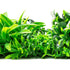 Artificial White Oasis Living Wall Garden 28SQ FT UV Resistant - Evallys.com # #