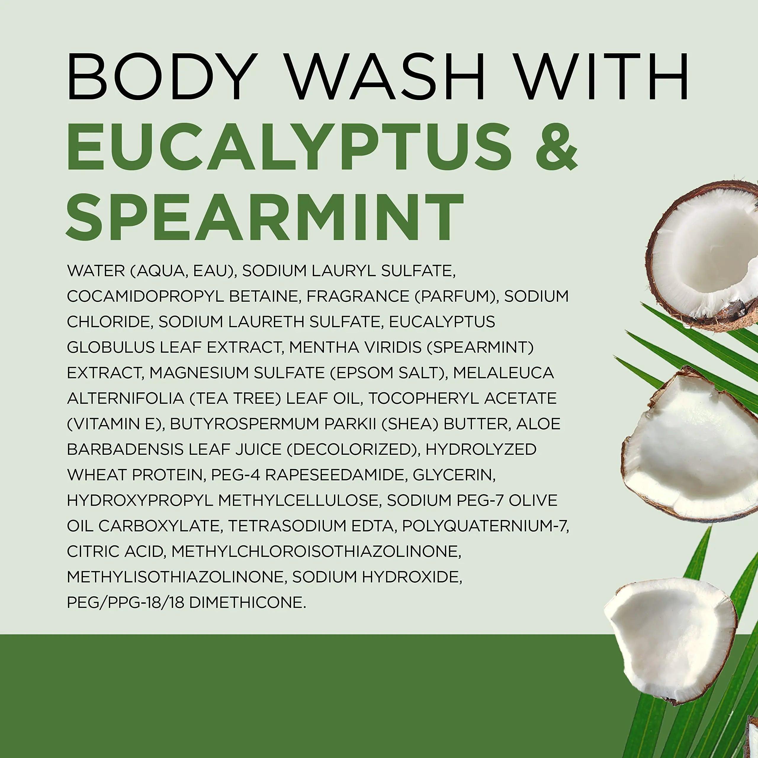 Dr Teal's Body Wash with Pure Epsom Salt, Relax & Relief with Eucalyptus & Spearmint, 24 fl oz (Pack of 4) (Packaging May Vary) - Evallys.com # #
