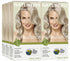 Naturtint Permanent Hair Color 10A Light Ash Blonde (Pack of 6), Ammonia Free, Vegan, Cruelty Free, up to 100% Gray Coverage, Long Lasting Results - Evallys.com # #