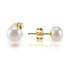 PAVOI Sterling Silver, 14K Gold Plated, AAA+ Quality Handpicked Freshwater Cultured Stud Pearl Earrings Yellow Gold 5.5mm - Evallys.com # #