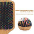 BLACK EGG Paddle Detangling Hair Brush for Women Girls, Rainbow Nylon Brush for Thick Thin Curly Hair, Includes Wooden Detangler Comb and 3 Hair Ties - Evallys.com # #