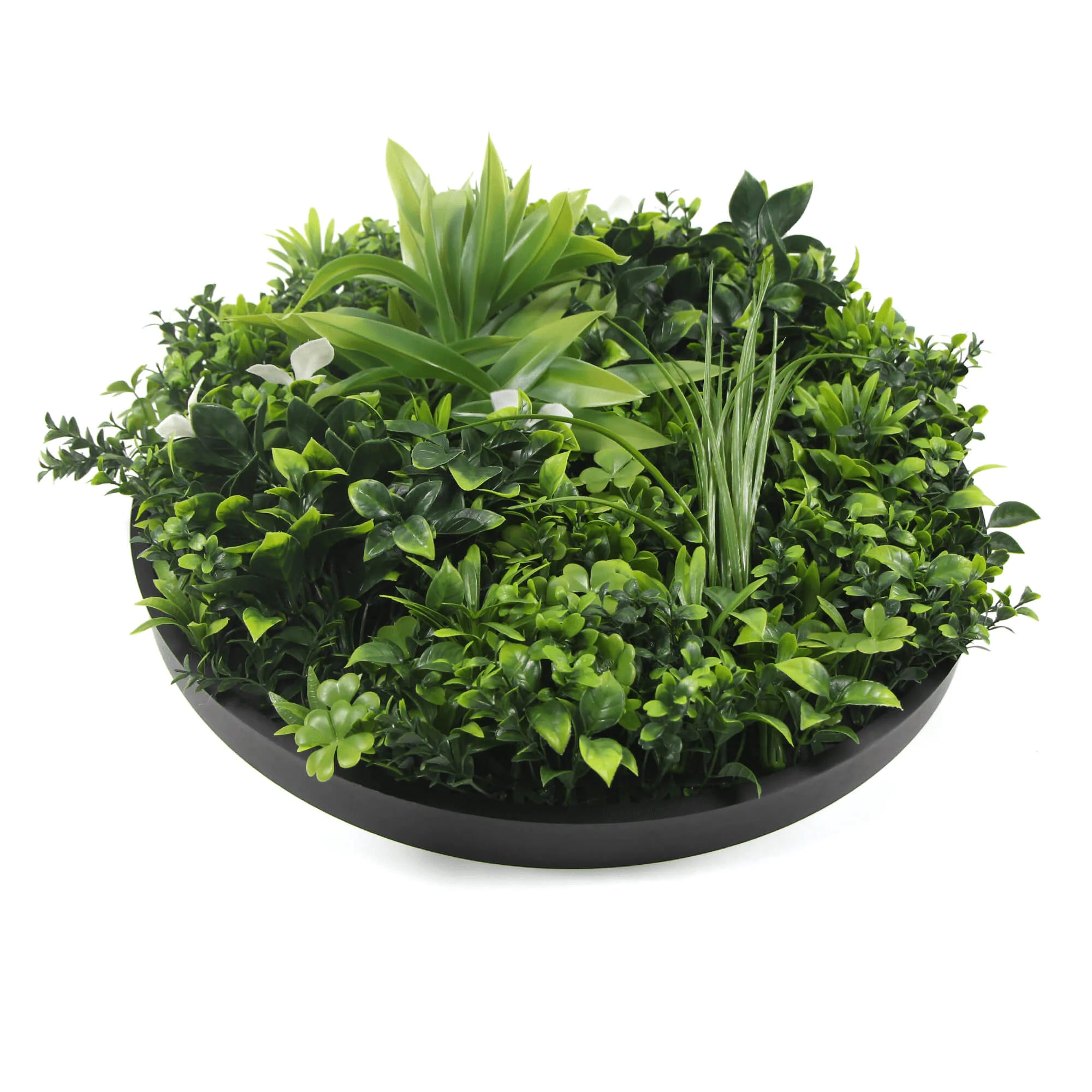 Artificial Green Wall Disc 20" Black Frame UV Resistant - Evallys.com # #