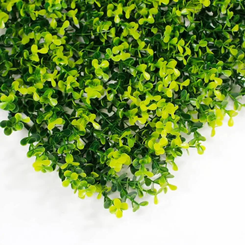 Yellow Buxus Green Wall 33 square foot UV Protected - Evallys.com # #