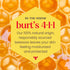 Burt's Bees Lip Tint Balm with Long Lasting 2 in 1 Duo Tinted Balm Formula, Color Infused with Deeply Hydrating Shea Butter for a Natural Looking Buildable Finish, Sweet Violet (2-Pack) - Evallys.com # #