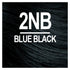 Naturtint 2NB Blue Black Permanent Hair Color (Pack of 1), Ammonia Free, Vegan, Cruelty Free, up to 100% Gray Coverage, Long Lasting Results (Packaging may vary) - Evallys.com # #