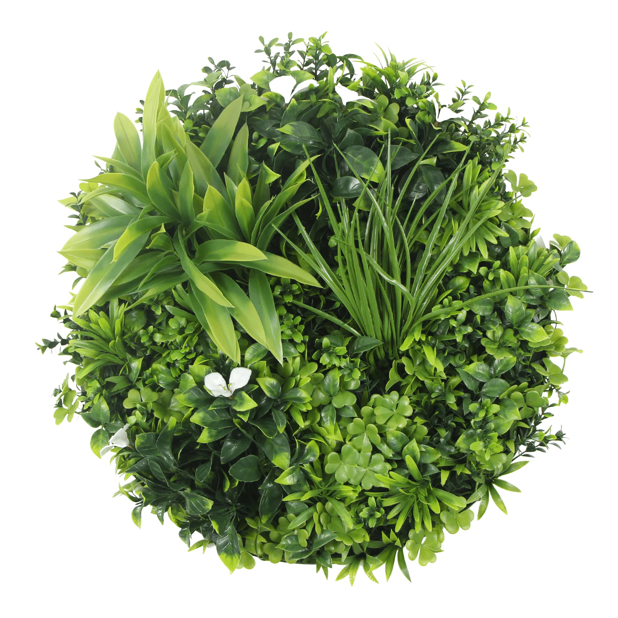 Artificial Green Wall Disc 30" White Frame UV Resistant - Evallys.com # #