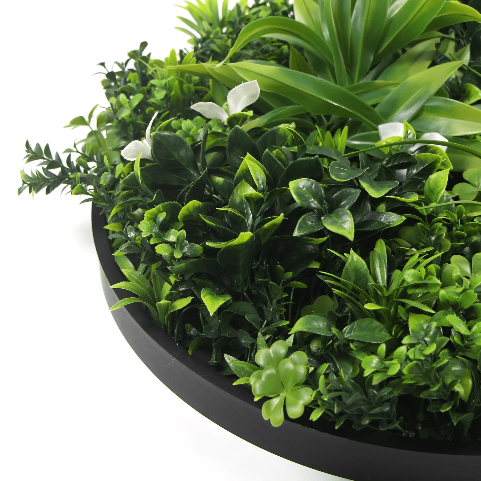 Artificial Green Wall Disc 30