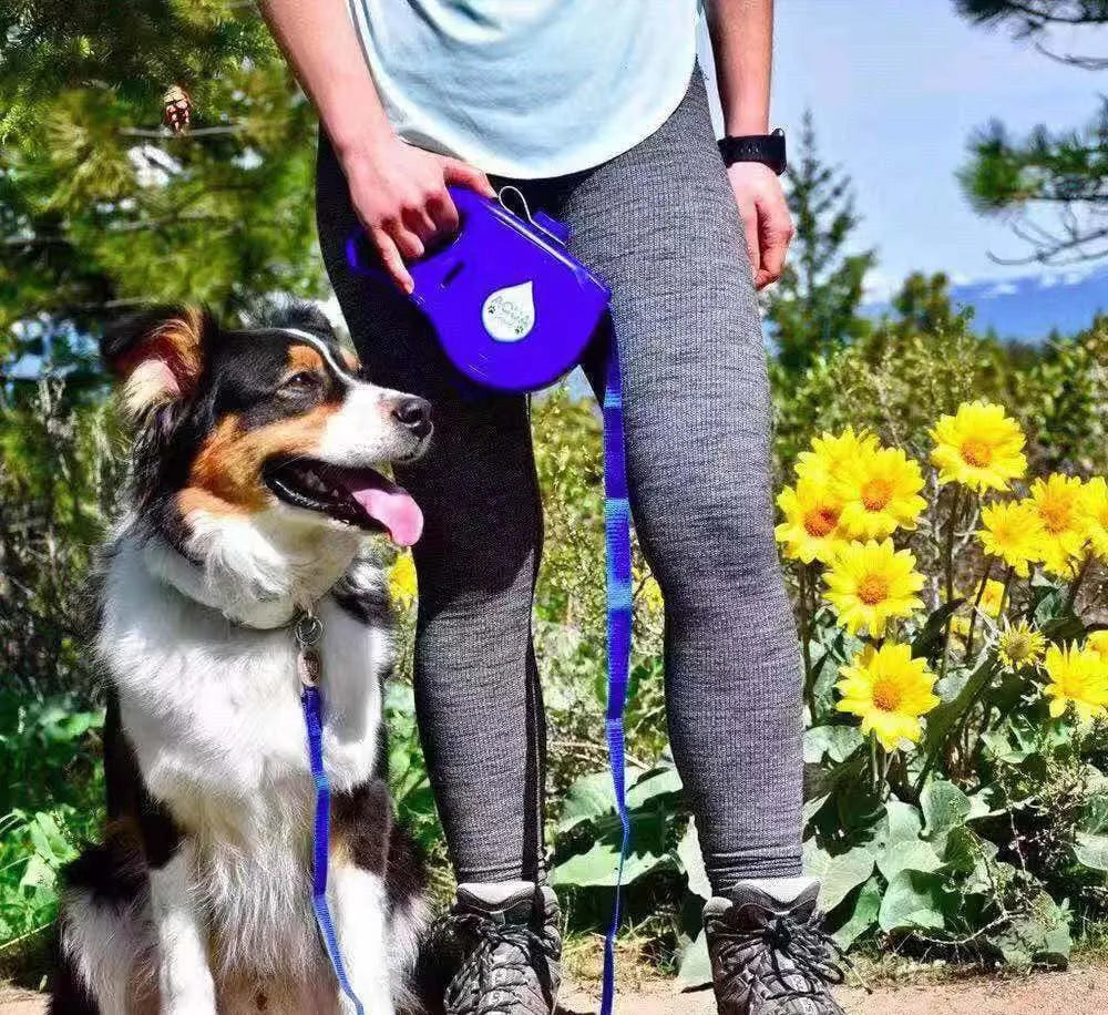 Multifunctional Dog Leash