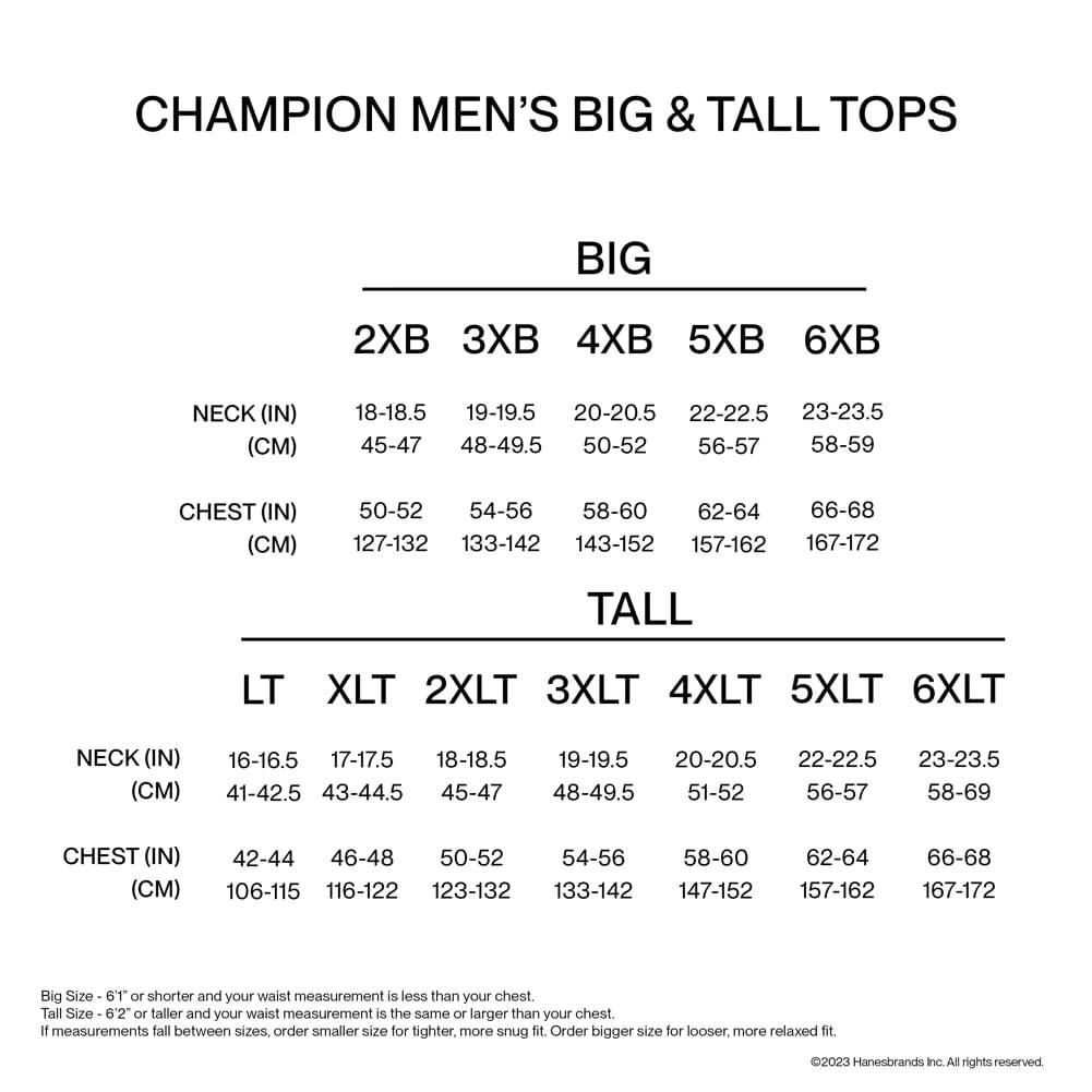 Champion Men'S Classic T-Shirt, Everyday Tee For Men, Comfortable Soft Men'S T-Shirt (Reg. Or Big & Tall) X-Large Navy - Evallys.com # #