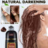 Hair Dye Shampoo 3 in 1 for Gray Hair, Herbal Ingredients Shampoo Burgundy Hair Dye for Women Men, Grey Coverage Shampoo 500ml Coffee - Evallys.com # #