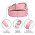 Women's Leather Belts with Gold Buckle Fashion Leather Waist Belt Elegant Ladies Belts for Jeans Dress & Casual Wear Pink+sliver S: Fit Waist Size 26"-32" - Evallys.com # #