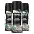 AXE Fine Fragrance Collection Premium Deodorant Body Spray for Men Pure Coconut 3 Count with 72H Odor Protection and Freshness Infused with Coconut, Eucalyptus, and Oak Essential Oils 4 oz 4 Ounce (Pack of 3) - Evallys.com # #