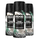 AXE Fine Fragrance Collection Premium Deodorant Body Spray for Men Pure Coconut 3 Count with 72H Odor Protection and Freshness Infused with Coconut, Eucalyptus, and Oak Essential Oils 4 oz 4 Ounce (Pack of 3) - Evallys.com