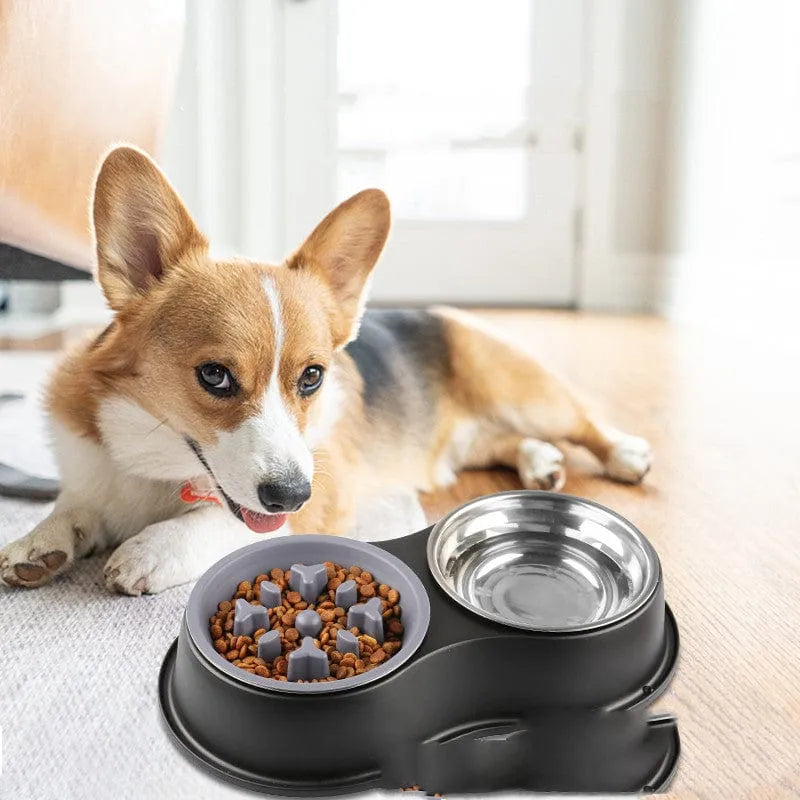 Pet Slow Feeder Bowl
