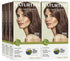 Naturtint Permanent Hair Color 6GM Chocolate Brown (Pack of 6), Ammonia Free, Vegan, Cruelty Free, up to 100% Gray Coverage, Long Lasting Results (Packaging may vary) - Evallys.com # #