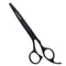 Equinox Professional Razor Edge Series Barber Hair Cutting Scissors - Japanese Stainless Steel Salon Scissors - 6.5” Overall Length - Fine Adjustment Tension Screw - Premium Shears for Hair Cutting Black 6.5 Inch - Evallys.com # #