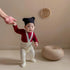 Children s Solid Color Winter Leggings with Stretchable Suspender Tights for Girls and Boys - Infant and Toddler Baby Pantyhose - Evallys.com