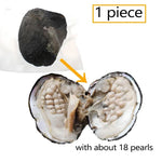 1-50PC Oyster Wish Pearl Kit Freshwater Pearl Rice mixed colors 5-8mm Freshwater Pearl Beads Jewelry DIY Accessories Gift - Evallys.com