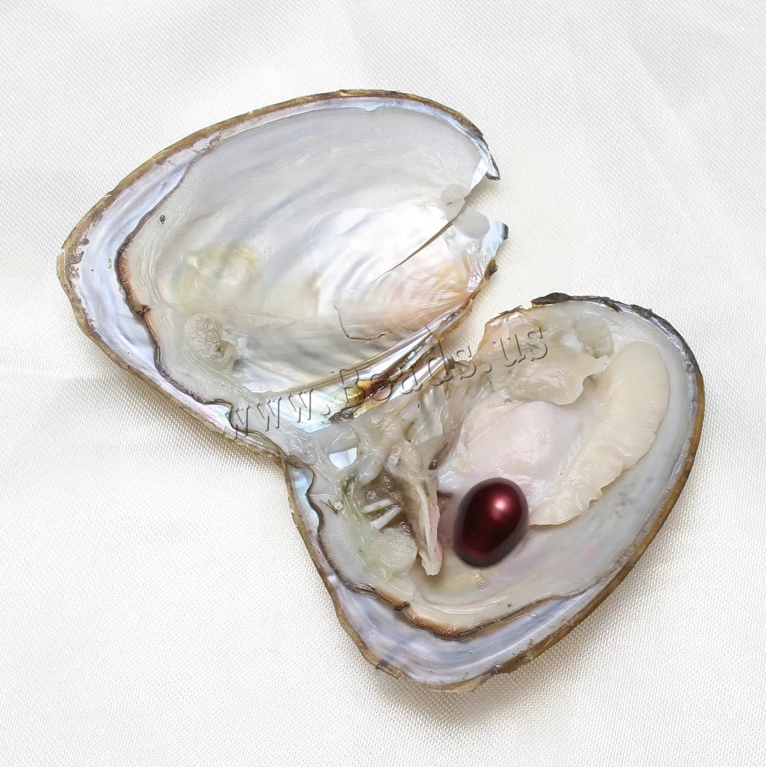 1-50PC Oyster Wish Pearl Kit Freshwater Pearl Rice mixed colors 5-8mm Freshwater Pearl Beads Jewelry DIY Accessories Gift - Evallys.com