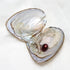 1-50PC Oyster Wish Pearl Kit Freshwater Pearl Rice mixed colors 5-8mm Freshwater Pearl Beads Jewelry DIY Accessories Gift - Evallys.com