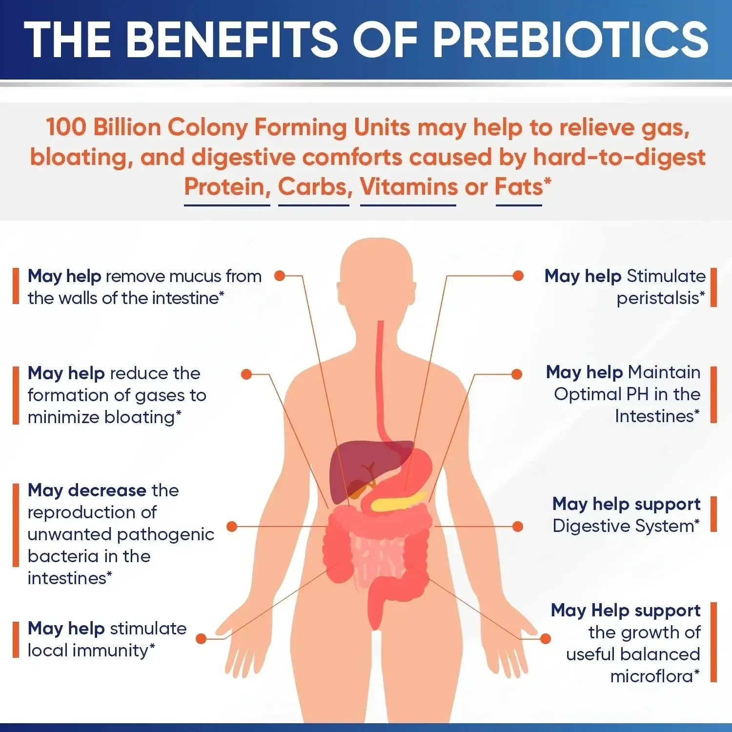 100 Billion CFU Probiotic Supplement with Prebiotics & Enzymes – 30 Caps