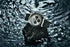 40mm New V2 PAGANI DESIGN Men's Quartz Watches Sapphire Retro Chronograph Stainless Steel Waterproof Watch Men Relogio Masculino - Evallys.com