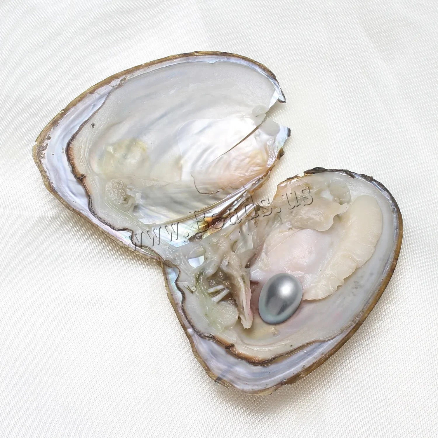 1-50PC Oyster Wish Pearl Kit Freshwater Pearl Rice mixed colors 5-8mm Freshwater Pearl Beads Jewelry DIY Accessories Gift - Evallys.com