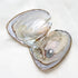 1-50PC Oyster Wish Pearl Kit Freshwater Pearl Rice mixed colors 5-8mm Freshwater Pearl Beads Jewelry DIY Accessories Gift - Evallys.com