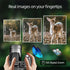 NBD Digital Camera 4K 64MP 16X flip camera suitable, suitable for photography beginners easy to learn and operate camera - Evallys.com