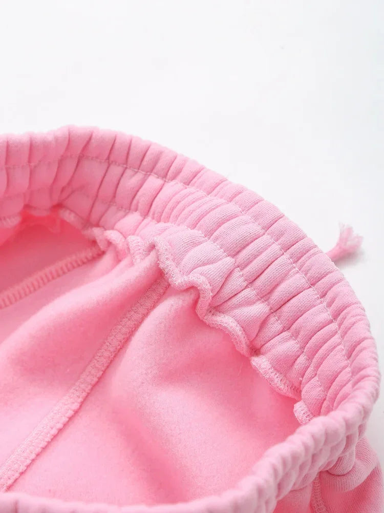 TRAF 2024 Spring Female Casual Hoodies Zipper Coats+Elastic Waist Baggy Pants 2 Pieces Set Elegant Loose Solid Pink Grey Pants - Evallys.com