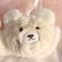 Japanese Girls Winter Soft Ropa Interior Cute Lingerie for Women Cartoon Bear Students Plush Sexy Bras Wireless Thin Bra Set - Evallys.com