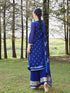 India Pakistan Punjabi Suit Set – Dupatta, Kurta, Pants & Scarf - Evallys.com