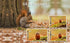 NBD Digital Camera 4K 64MP 16X flip camera suitable, suitable for photography beginners easy to learn and operate camera - Evallys.com
