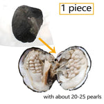 1-50PC Oyster Wish Pearl Kit Freshwater Pearl Rice mixed colors 5-8mm Freshwater Pearl Beads Jewelry DIY Accessories Gift - Evallys.com