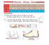 Women’s Rhinestone Sneakers – Fashion Lace-Up, Thick Sole & Non-Slip - Evallys.com