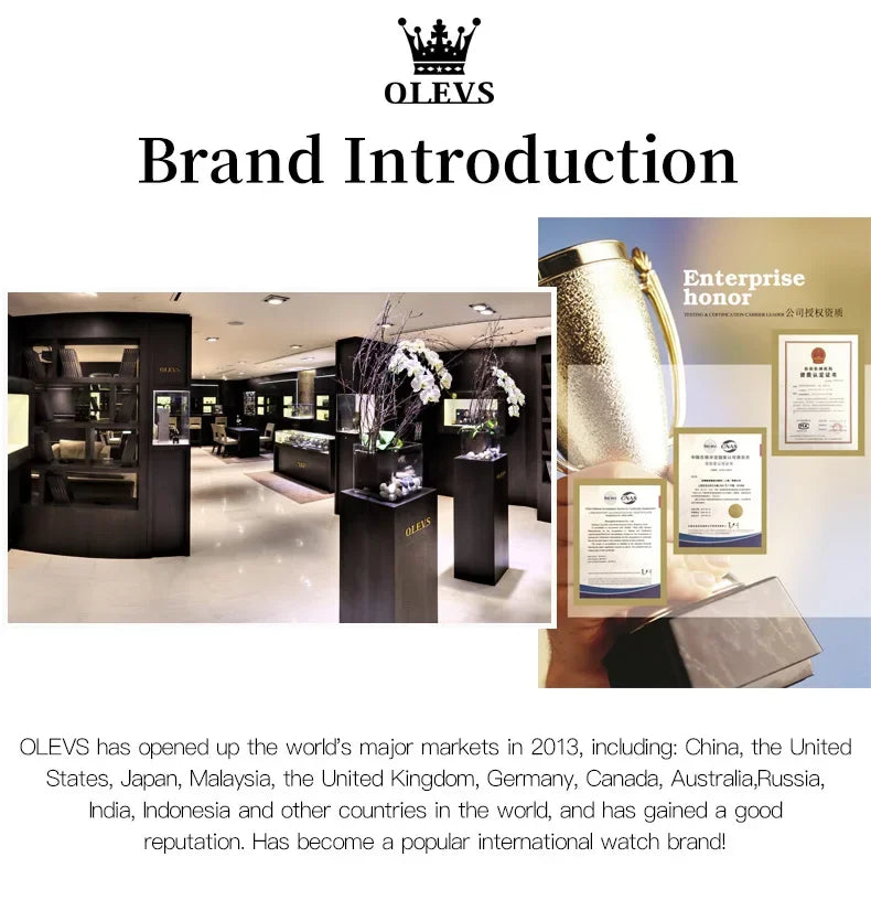 OLEVS Men's Watches Top Brand Luxury Watch for Men Original Waterproof Stainless Steel Chronograph Moon Phase Date Rota Dial - Evallys.com