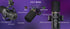 XLR/USB Dynamic Microphone Kit, PC Microphone for Streaming, Podcasting, Gaming, RGB, Mute and Noise Cancelling Function, Volume - Evallys.com